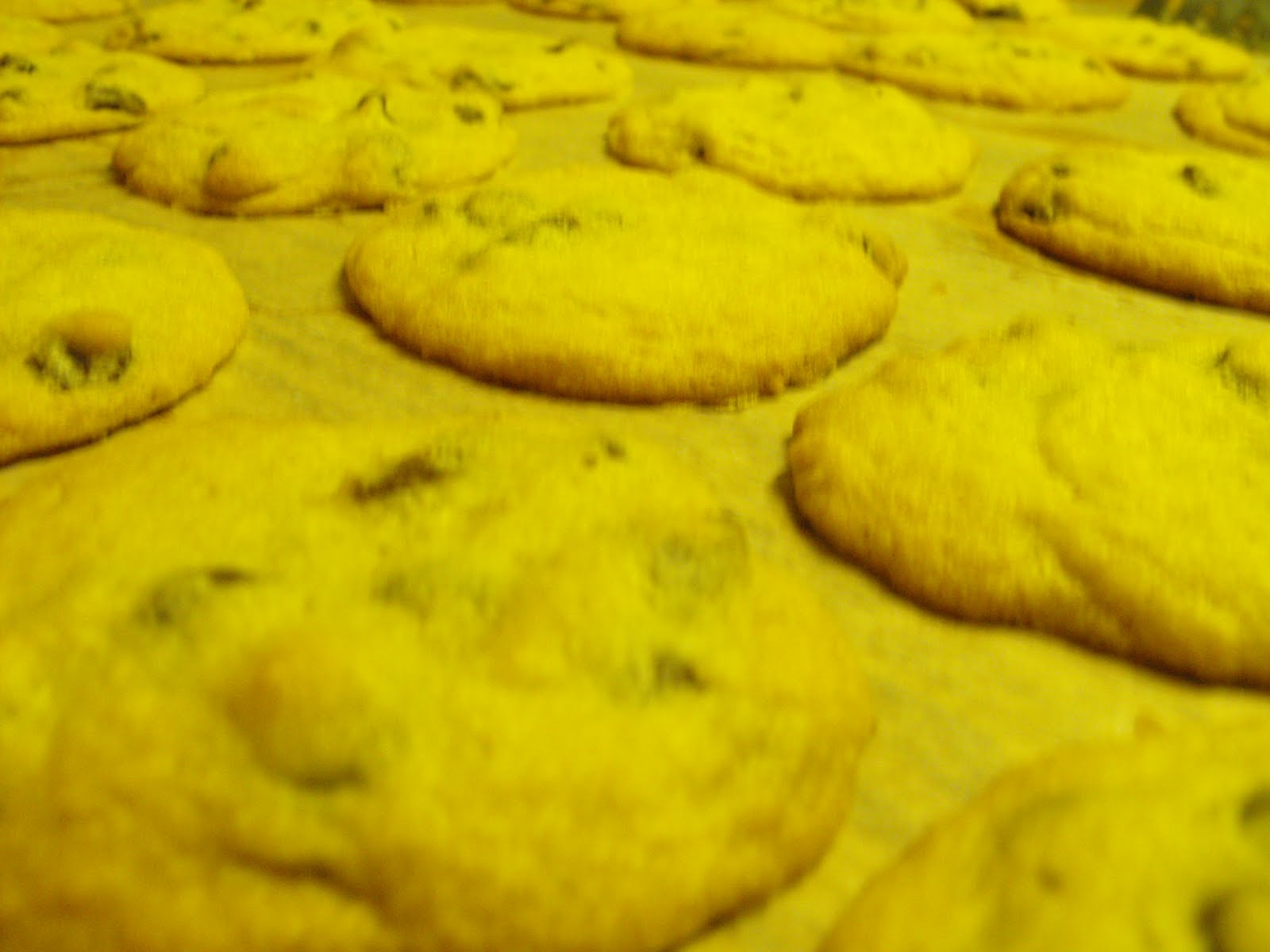 freshly baked cookies